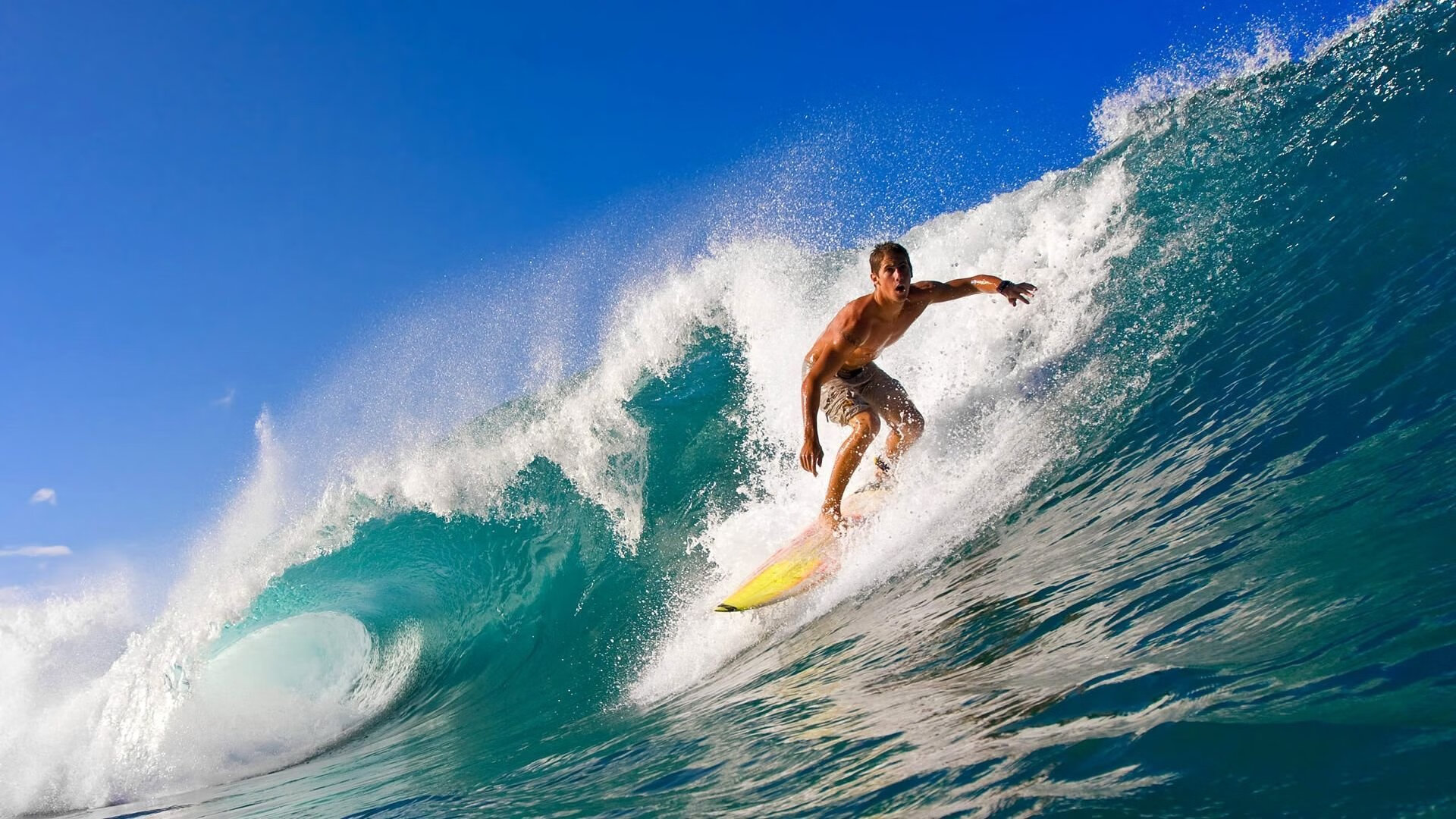 欧冠小组赛：费耶诺德三连胜出线在望 荷甲老牌再度找回欧战存在感